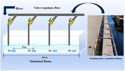 The microbial community and functional indicators response to flow restoration in gradient in a simulated water flume